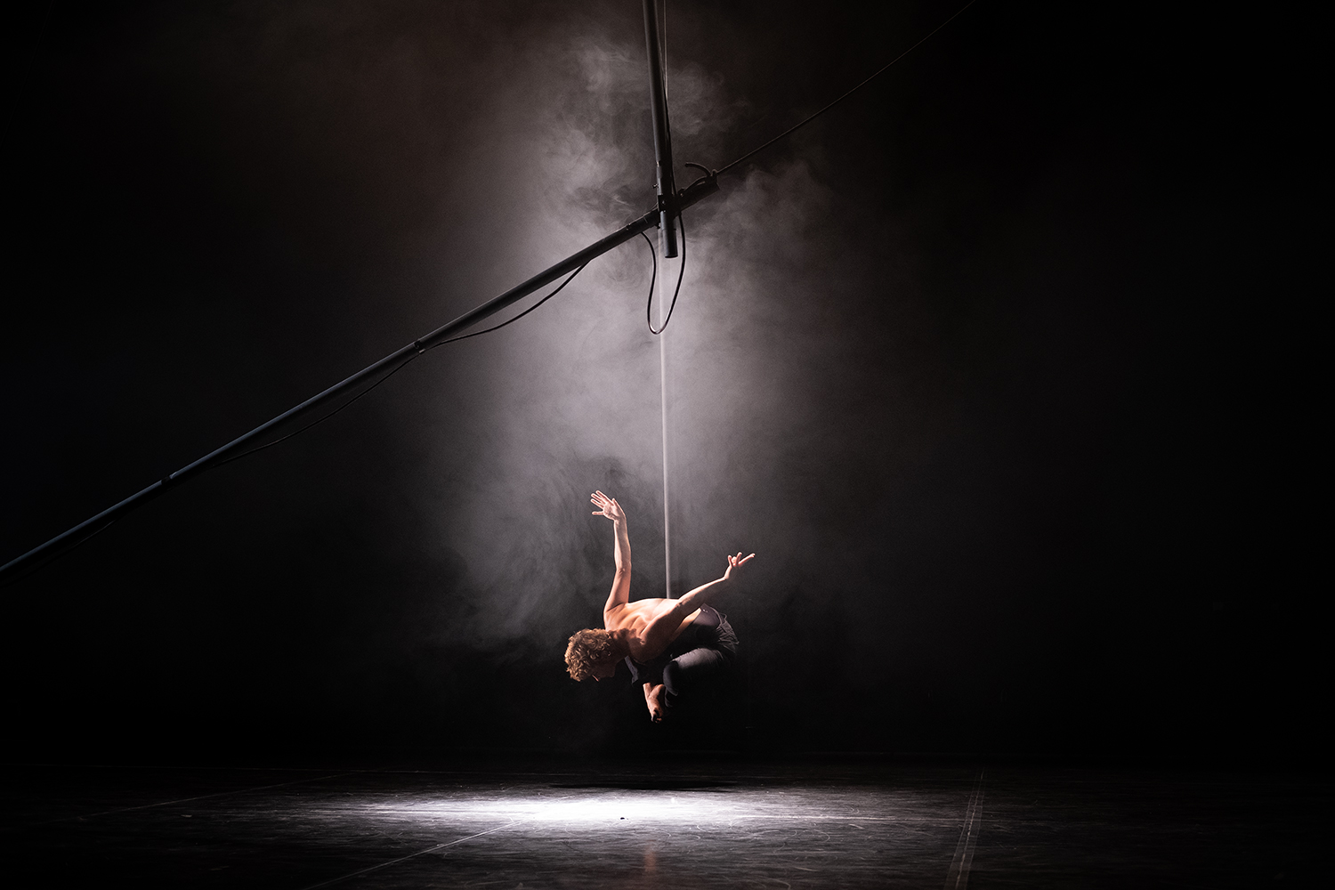 Après la chute Master IPCI